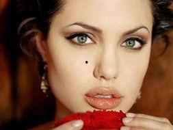 安吉丽娜 朱莉资料,好莱坞巨星与慈善家的人生轨迹