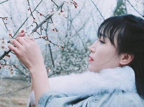 美拍李子柒个人资料,李子柒的美拍生活画卷
